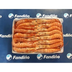 LANGOSTINO L1 ARGENTINO...