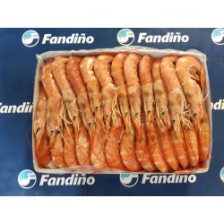 LANGOSTINO L2 ARGENTINO...