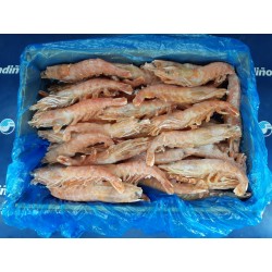 LANGOSTINO ARGENTINO GRANEL...