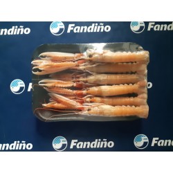 CIGALA PLANCHA GRANDE...