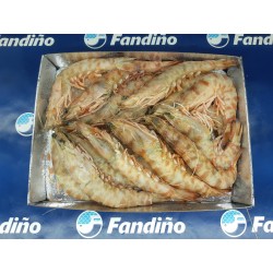 LANGOSTINO TIGRE 15/20