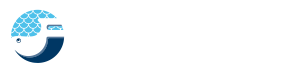 Fandiño logo